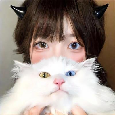 圣诞梦美人