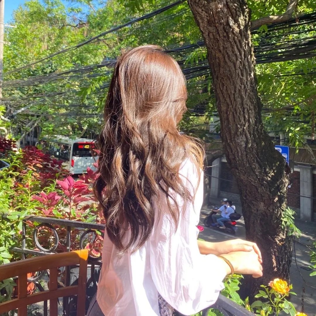 清风朗月花正开