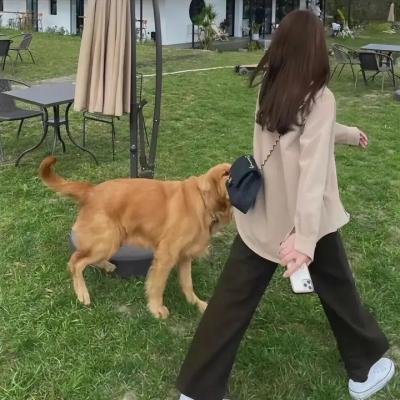 破烂王
